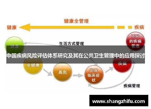 中国疾病风险评估体系研究及其在公共卫生管理中的应用探讨