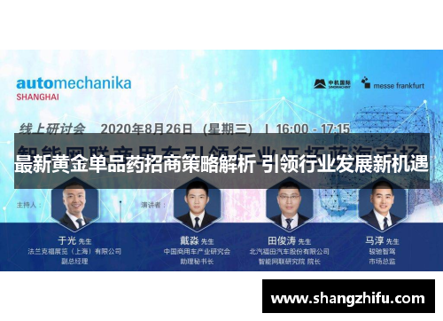 最新黄金单品药招商策略解析 引领行业发展新机遇
