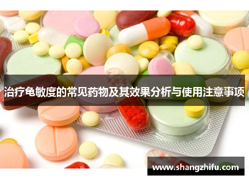治疗龟敏度的常见药物及其效果分析与使用注意事项
