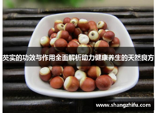 芡实的功效与作用全面解析助力健康养生的天然良方