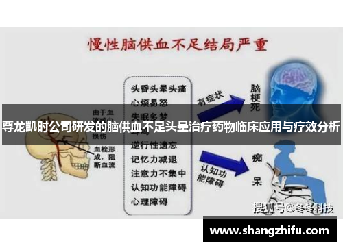 尊龙凯时公司研发的脑供血不足头晕治疗药物临床应用与疗效分析