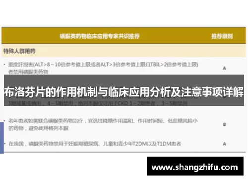 布洛芬片的作用机制与临床应用分析及注意事项详解