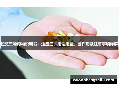 拉莫三嗪药物说明书：适应症、用法用量、副作用及注意事项详解