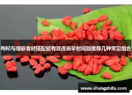 枸杞与哪些食材搭配能有效改善早射问题推荐几种常见组合