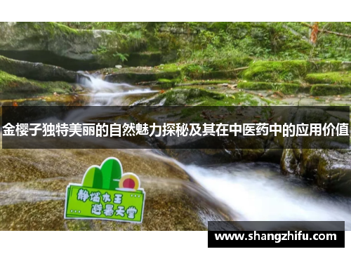 金樱子独特美丽的自然魅力探秘及其在中医药中的应用价值