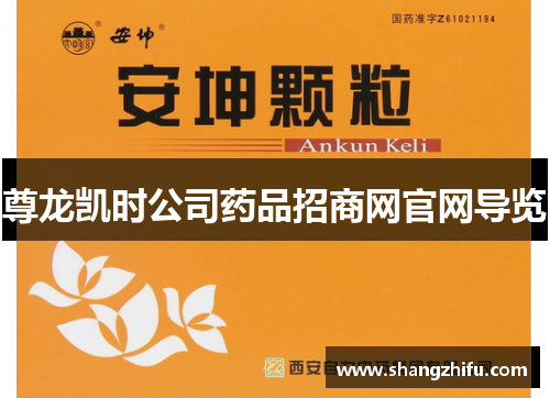 尊龙凯时公司药品招商网官网导览