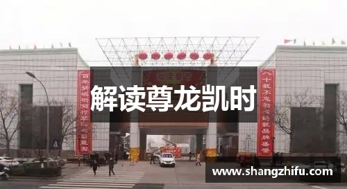 解读尊龙凯时